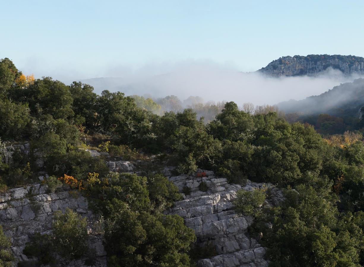 Les Hauts D'Issensac Causse-de-la-Selle Εξωτερικό φωτογραφία