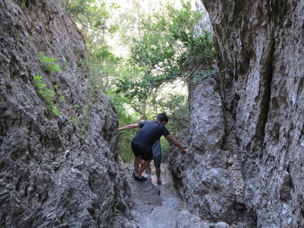 Les Hauts D'Issensac Causse-de-la-Selle Εξωτερικό φωτογραφία