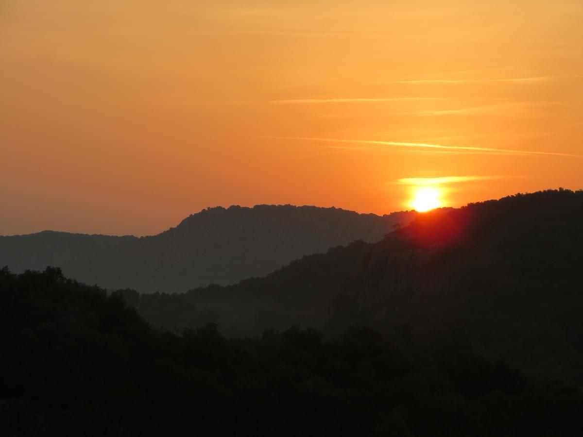 Les Hauts D'Issensac Causse-de-la-Selle Εξωτερικό φωτογραφία