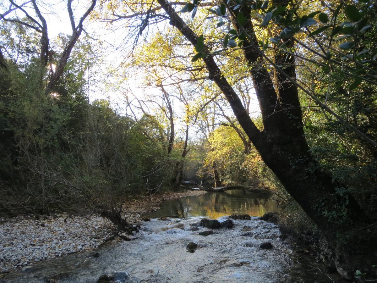Les Hauts D'Issensac Causse-de-la-Selle Εξωτερικό φωτογραφία