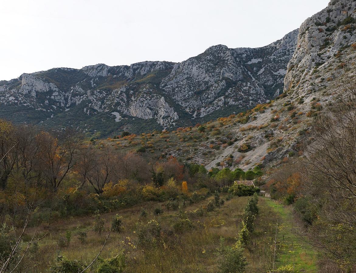 Les Hauts D'Issensac Causse-de-la-Selle Εξωτερικό φωτογραφία
